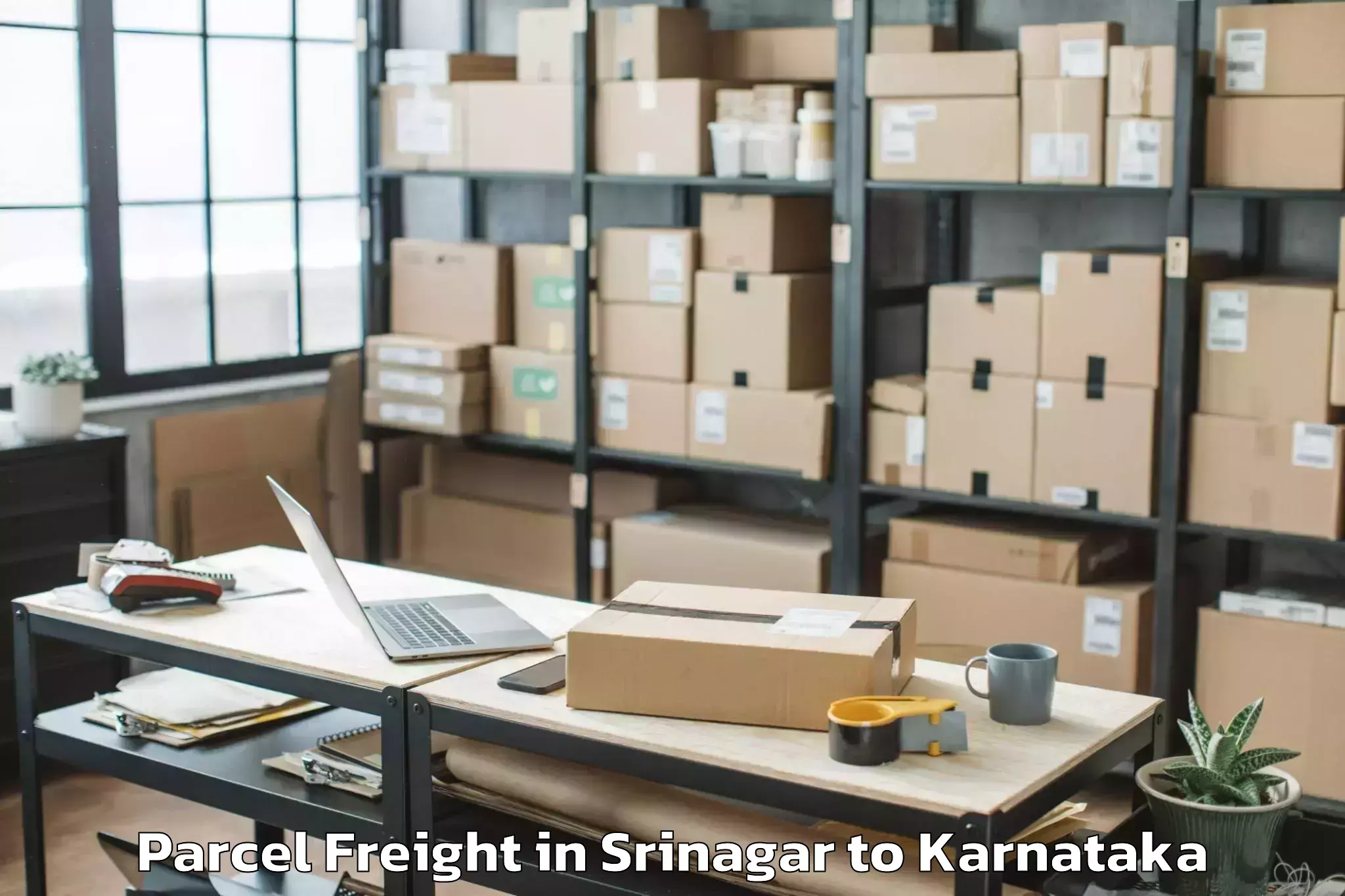 Book Srinagar to Mysuru Parcel Freight